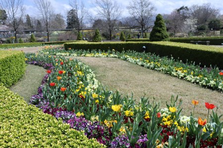 チューリップ・ヨーロピアンガーデン4月5日（21）IMG_5234.JPG