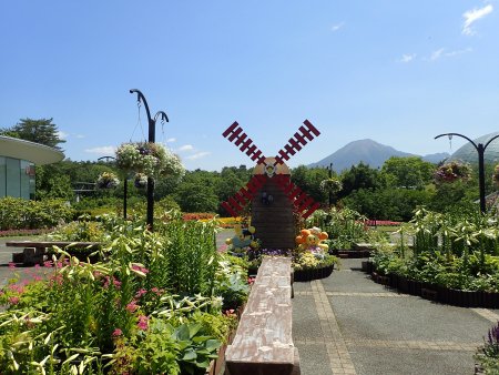 秘密の花園（ユリ）