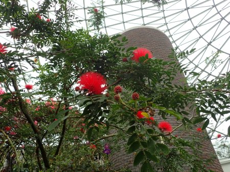 2026.1.20ドーム (キャリアンドラ10).JPG