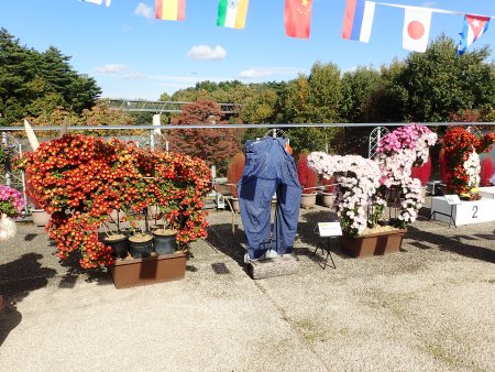 2025.11.11 (綱引き3).JPG