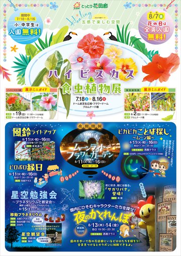 夏チラシ-表.jpg