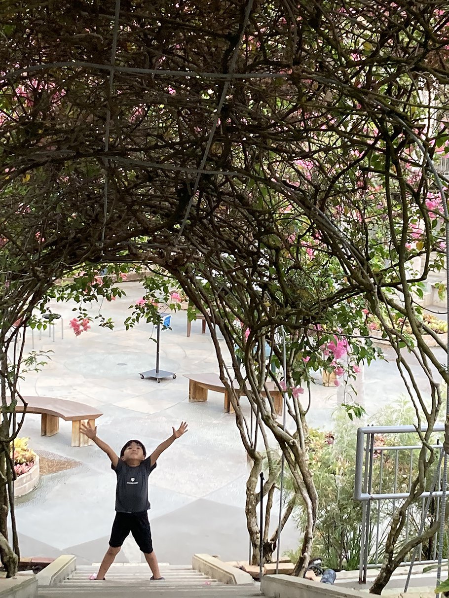 ジュニア賞　トンネルの上までとどくかな？！