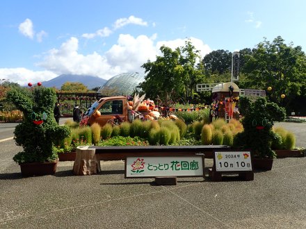 菊のトピアリー展