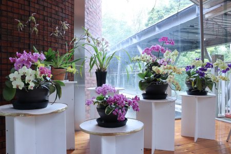 南館4月15日（21）IMG_5906.JPG