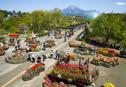 とっとり花回廊 日本最大級のフラワーパーク