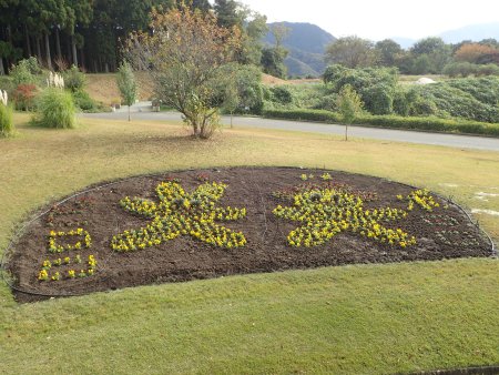 2025.11.12 (ピロポロ花壇12).JPG