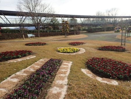 2025.12.23 (花壇10) (霧の庭園花壇花絵花壇7).JPG