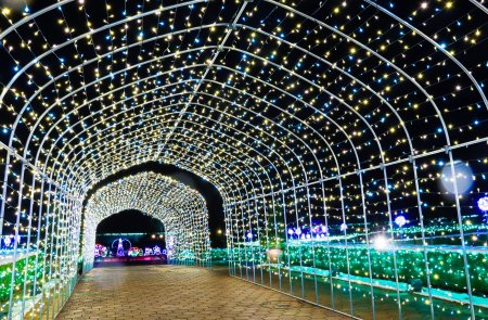 ヨーロピアンガーデン