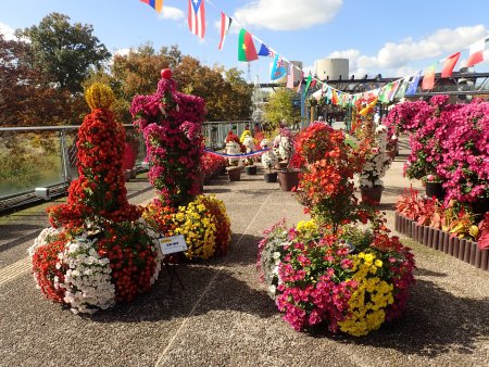 2025.11.11 (玉乗り7).JPG