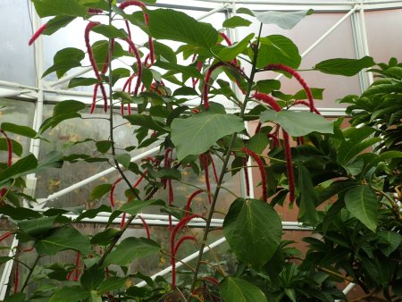 2025.12.23 (南館67) (アカリファ10).JPG