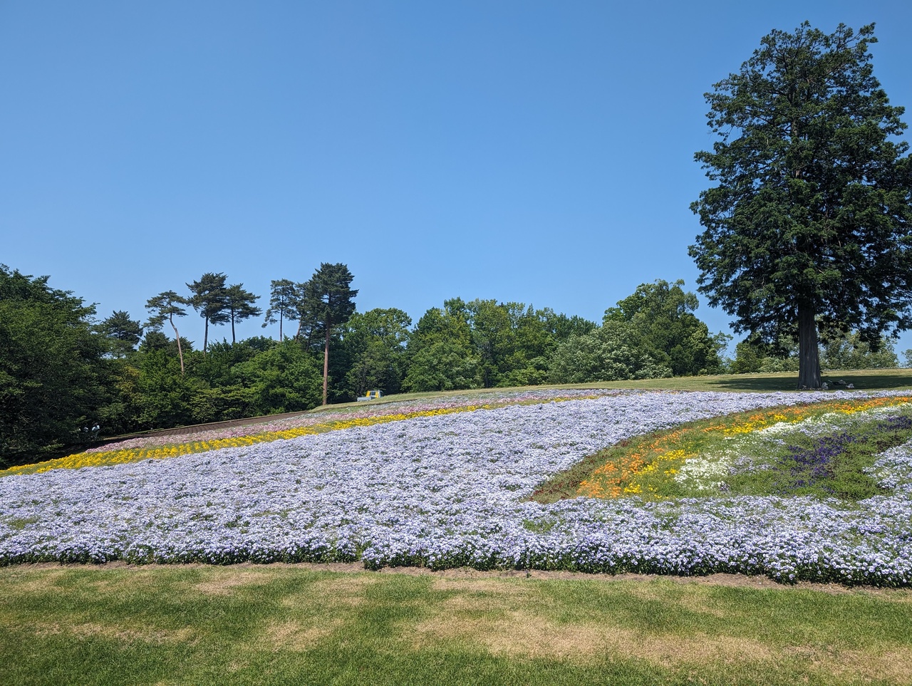 木と軽トラと花と。