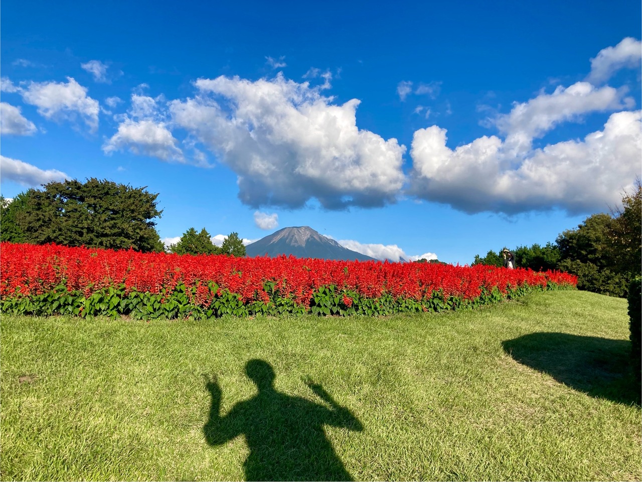 おとうさんのかげがうつってきた