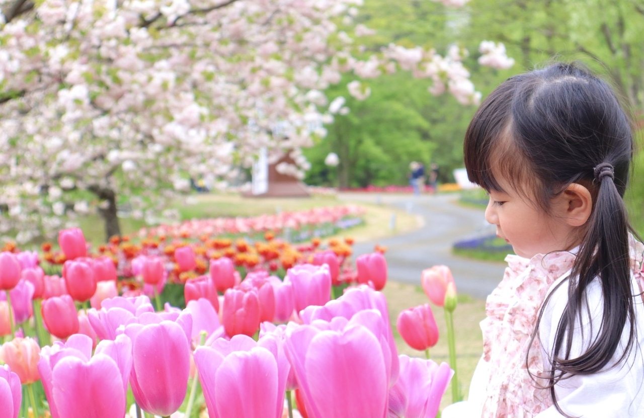 春のかおり