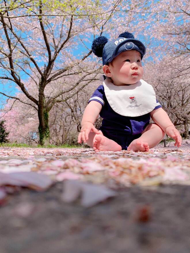 初めての桜