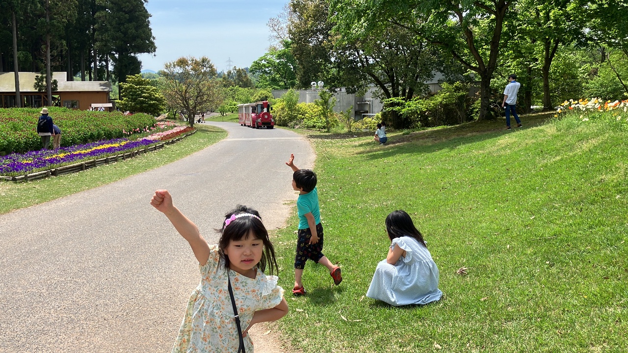 来たかな〜。