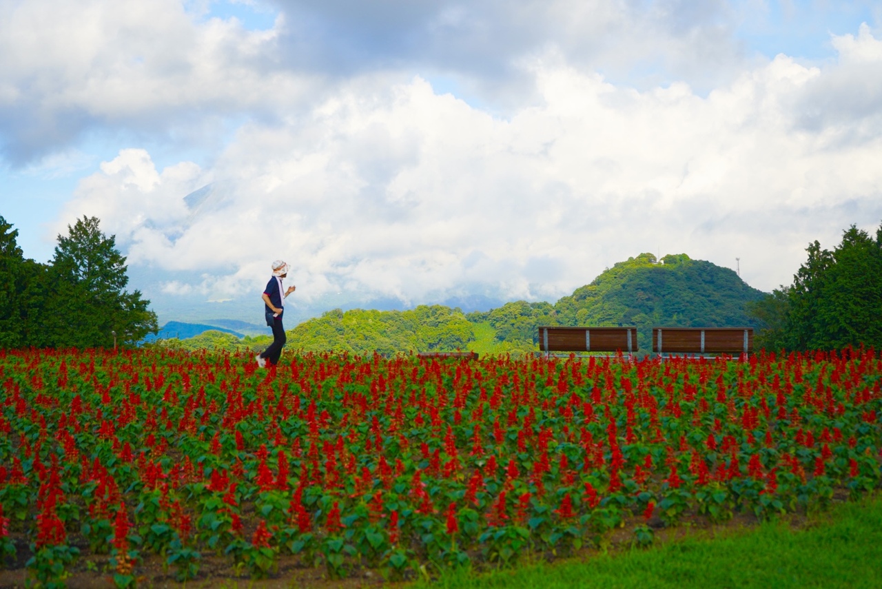 毎日の日課〜今日は大山見えんがん〜