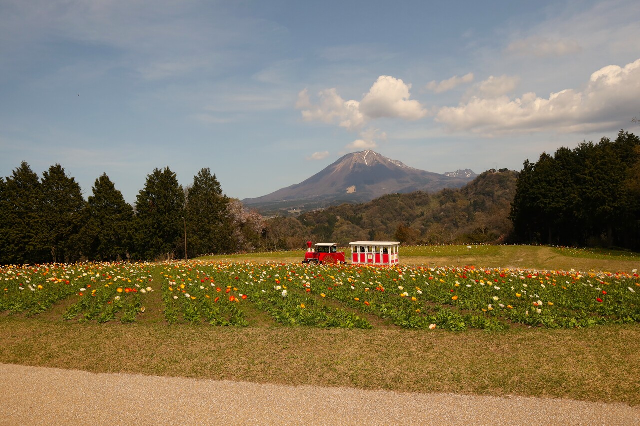 大山の花園