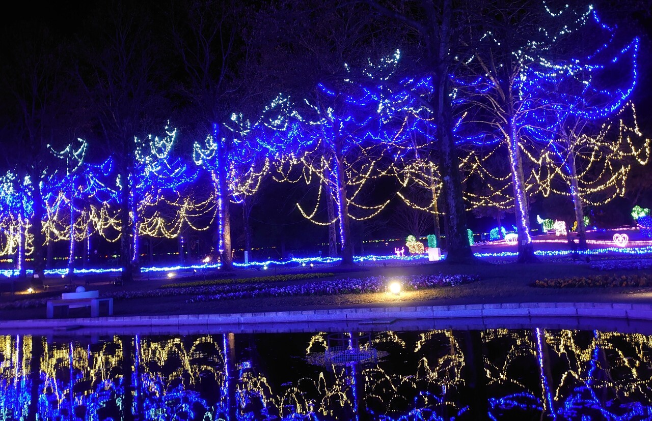 冬夜の紫陽花〜水の器〜