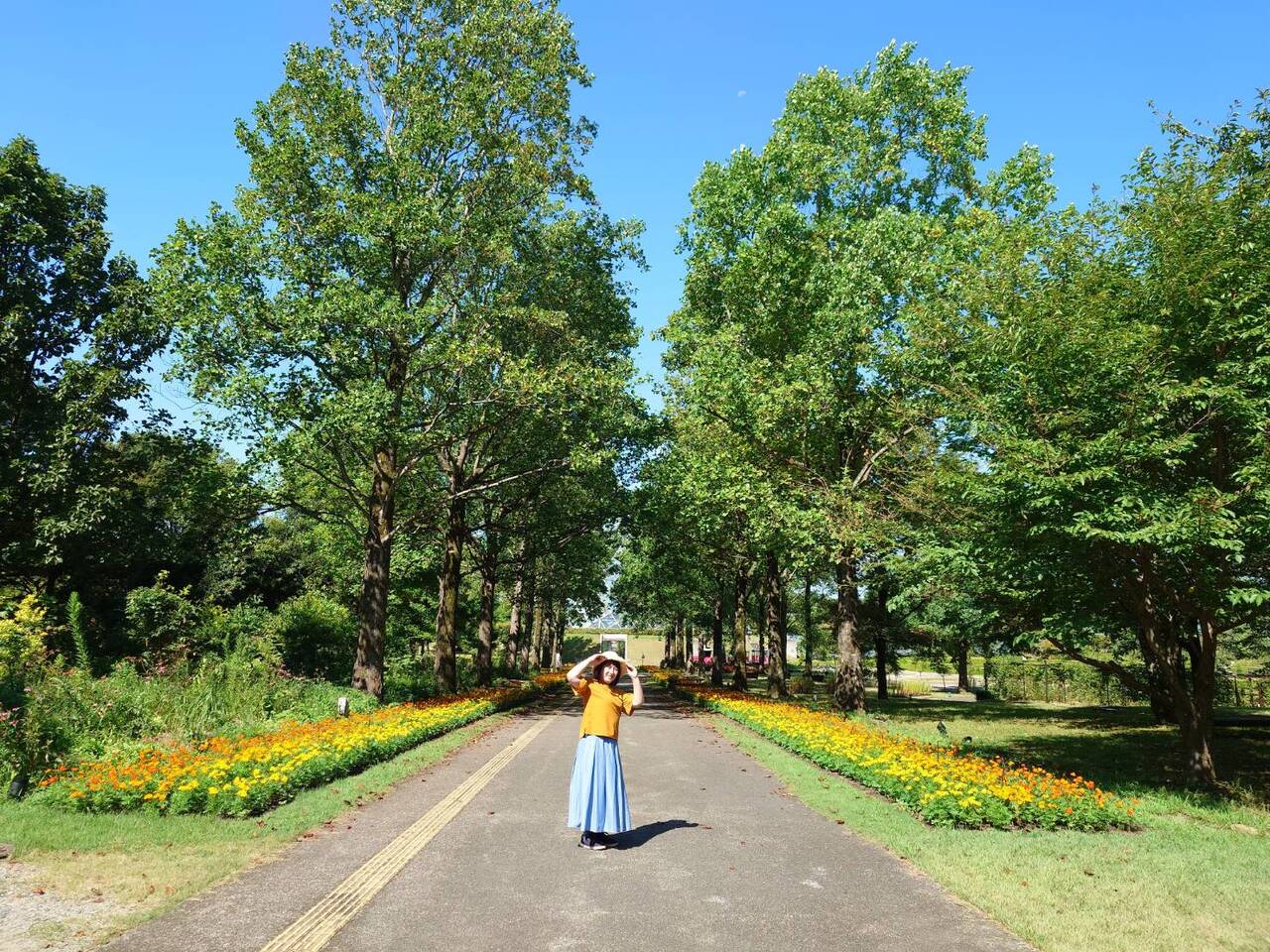 花と私と夏